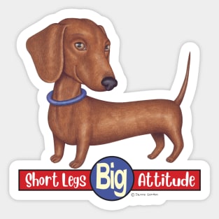 Doxie cute awesome attitude Dachshund with Blue Collar Sticker